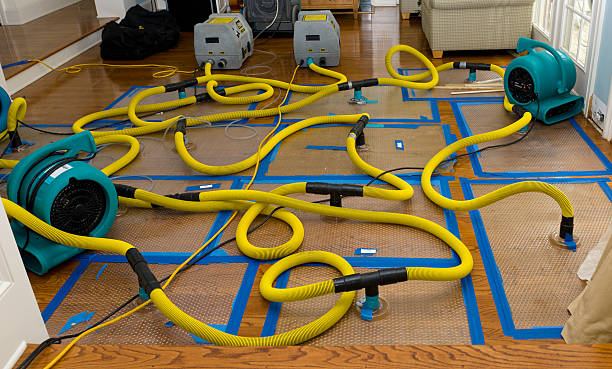 Professional Water Damage Restoration technician working in Fletcher, OK